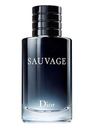 CHRISTIAN DIOR SAUVAGE парфюмерная вода (мужские) 1ml пробник