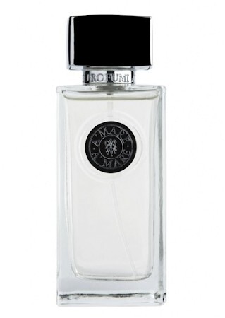 ARTE PROFUMI A`MARE 100ml парфюмерная вода 100ml