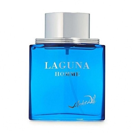 SALVADOR DALI LAGUNA туалетная вода (мужские) 50ml