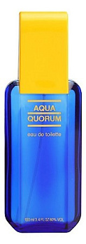 ANTONIO PUIG AQUA QUORUM туалетная вода (мужские) 100ml