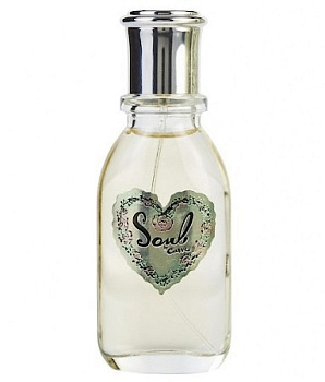LIZ CLAIBORNE CURVE SOUL парфюмерная вода (женские) 50ml