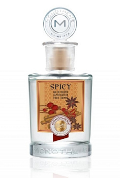 MONOTHEME SPICY туалетная вода (мужские) 100ml Tester