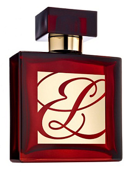 ESTEE LAUDER AMBER MYSTIQUE парфюмерная вода (женские) 100ml Tester