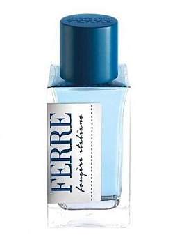 GIANFRANCO FERRE FOUGERE ITALIANO туалетная вода (мужские) 100ml
