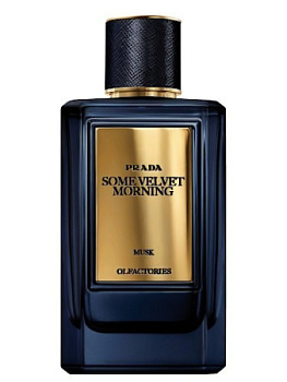 PRADA OLFACTORIES SOME VELVET MORNING парфюмерная вода (унисекс) 100ml Tester