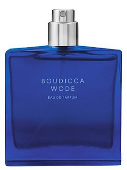 ESCENTRIC MOLECULES BOUDICCA WODE парфюмерная вода (унисекс) 50ml Tester