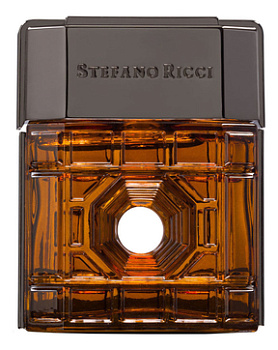 STEFANO RICCI FIRENZE парфюмерная вода (мужские) 100ml