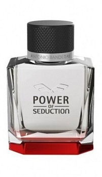 ANTONIO BANDERAS POWER OF SEDUCTION туалетная вода (мужские) 100ml tester