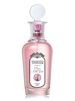 BROCARD ЛЕСНАЯ ЗЕМЛЯНИКА И ПОЛЕВЫЕ ТРАВЫ туалетная вода (женские) 100ml