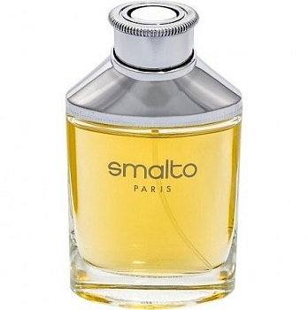 FRANCESCO SMALTO MEN туалетная вода (мужские) 100ml