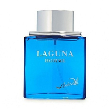 SALVADOR DALI LAGUNA туалетная вода (мужские) 50ml