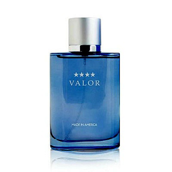 DANA VALOR туалетная вода (мужские) 100ml