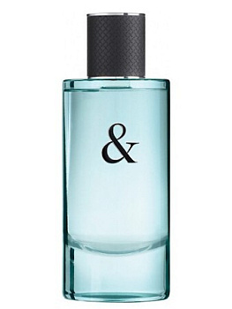 TIFFANY & CO LOVE туалетная вода (мужские) 90ml Tester