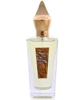 XERJOFF XJ RICHWOOD EAU DE PARFUM парфюмерная вода 100ml *Tester