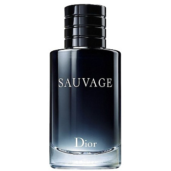 CHRISTIAN DIOR SAUVAGE туалетная вода (мужские) 100ml Tester