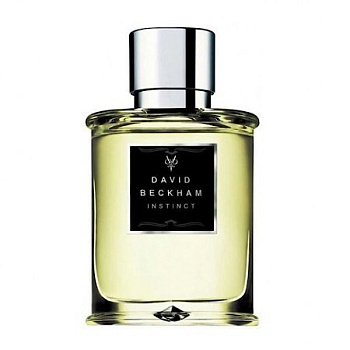 DAVID BECKHAM INSTINCT туалетная вода (мужские) 75ml *Tester