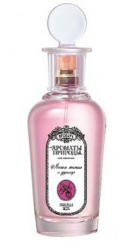 BROCARD ЛЕСНАЯ МАЛИНА И ДУШИЦА туалетная вода (женские) 100ml