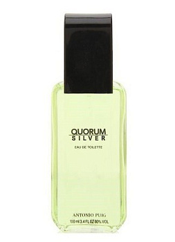 ANTONIO PUIG QUORUM SILVER туалетная вода (мужские) 100ml Tester